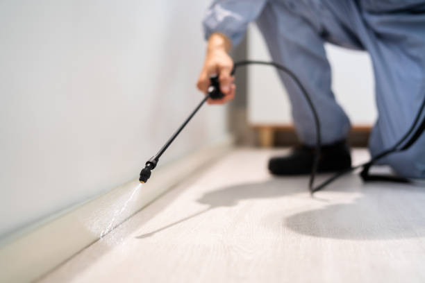 Bed Bug Pre-Treatment Preparation Assessment in Rushville