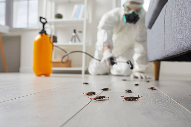 Post-Treatment Bed Bug Interceptor Monitoring in Rushville