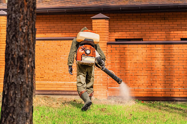 Bed Bug Clearance Verification and Documentation in Rushville